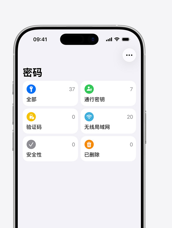 iPhone 屏幕显示密码 app 的菜单，上面有“全部”、“通行密钥”、“验证码”、“无线局域网”、“安全性”和“已删除”这几个选项。
