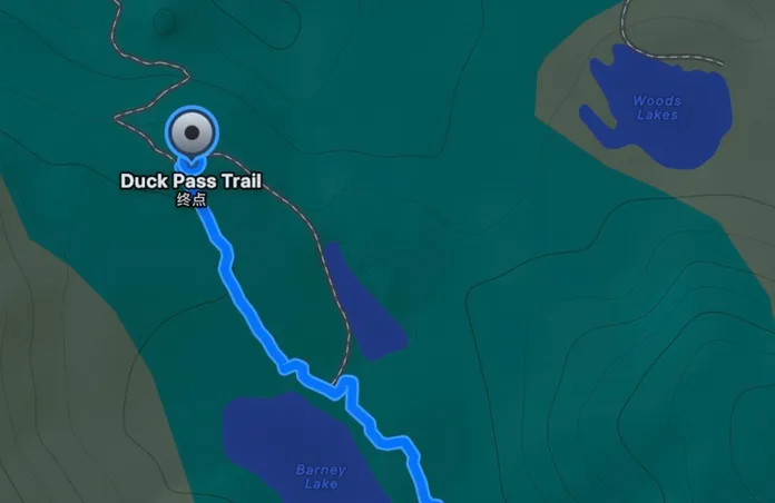 自定路线地图，展示到达标记位置的预估时间和距离。
