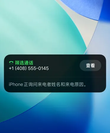 iPhone app 显示正在使用通话筛选功能。
